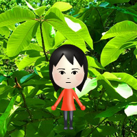 mii
